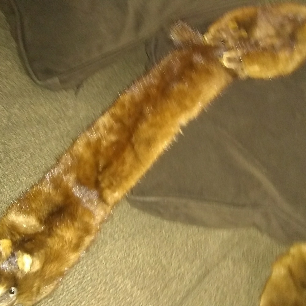 Fur - Picture 3 of 4